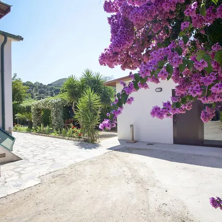 Leo In Zona Residenziale Vicino A * Portoferraio