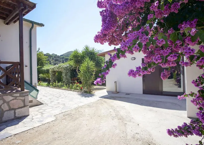 Leo In Zona Residenziale Vicino A * Portoferraio